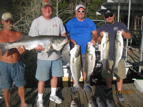 Nice Striped Bass